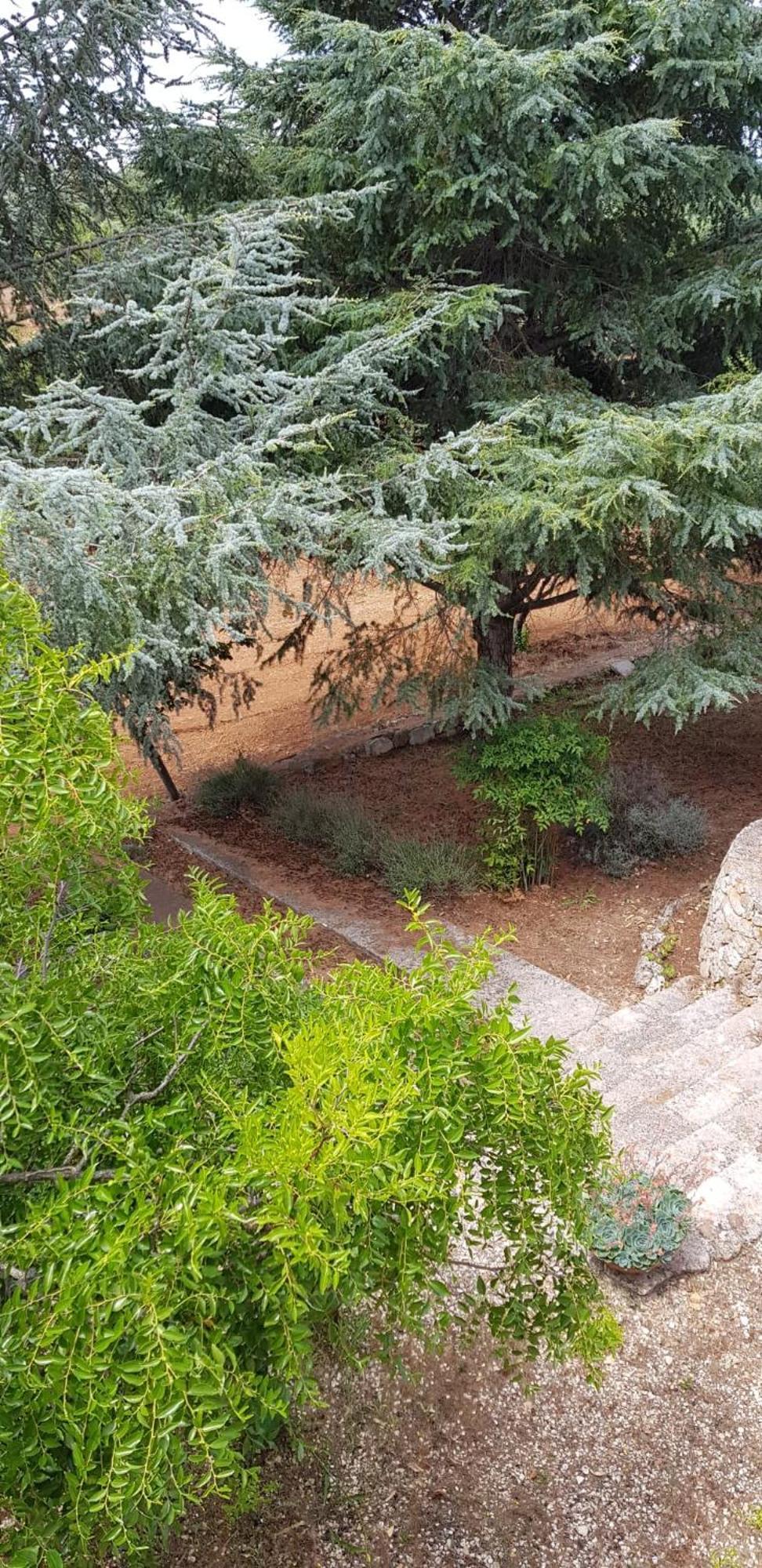 Villa Isabella Ostuni Esterno foto